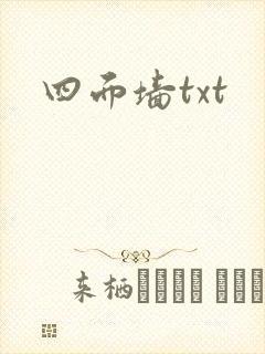 四面墙txt