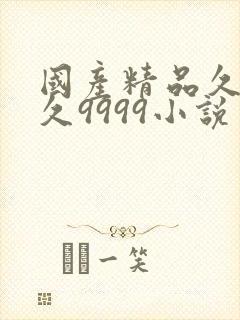 国产精品久久久久9999小说