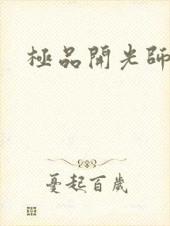 极品开光师