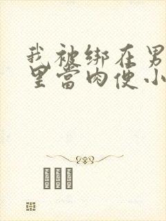 我被绑在男公厕里当肉便小说