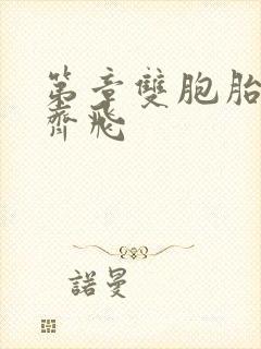 第章双胞胎姐妹齐飞