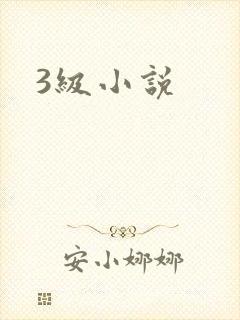 3级小说