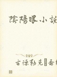 阴阳眼小说