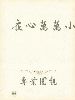 夜心万万小说