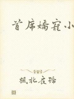 首席娇宠小情人