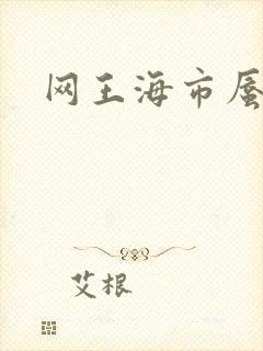 网王海市蜃楼