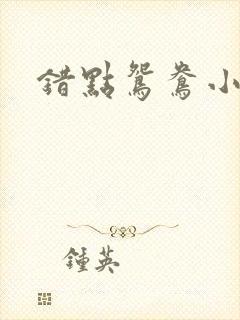 错点鸳鸯小说
