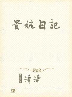 贵婉日记