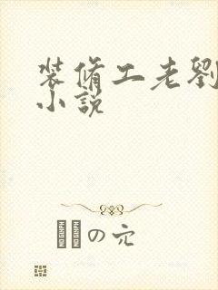 装修工老刘林雪小说