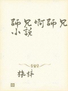 师兄啊师兄原著小说