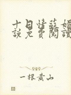 十日情苏媚的小说免费阅读全文