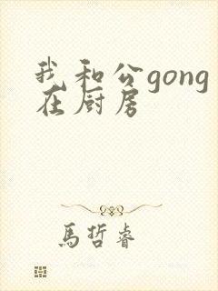 我和公gong在厨房