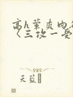 高h荤爽肉欲文〈三攻一受