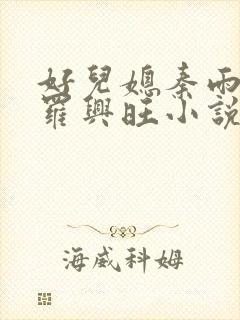 好儿媳秦雨罗明罗兴旺小说