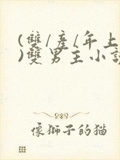 (双/产/年上)双男主小说