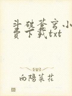 斗破苍穹小说免费下载txt