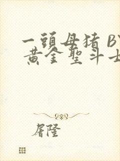 一头母猪 BY 黄金圣斗士