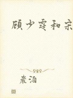 顾少霆和宋斯曼