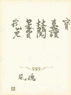 我是林喜宝小说免费阅读