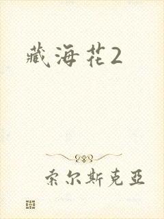 藏海花2
