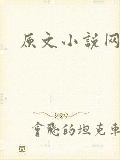 原文小说网