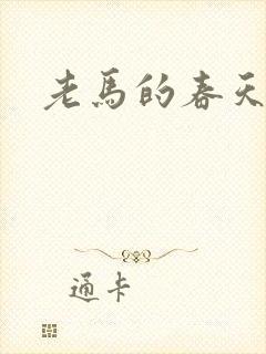 老马的春天敏静