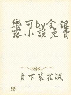 乐可by金银花露小说免费阅读