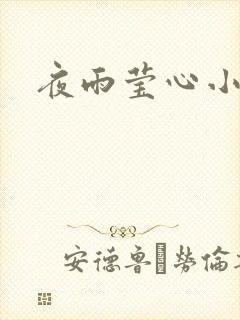夜雨莹心小说