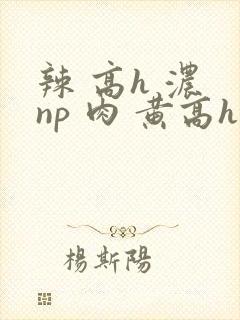 辣 高h 浓 np 肉 黄高h