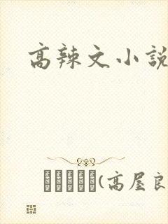 高辣文小说