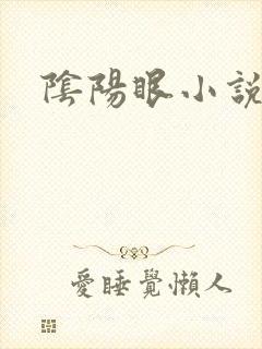 阴阳眼小说