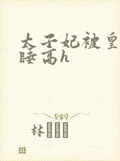 太子妃被皇上强睡高h