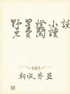 野星灯小说全文免费阅读