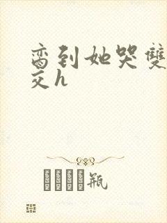 脔到她哭双根宫交h