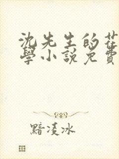 沈先生的花式教学小说免费