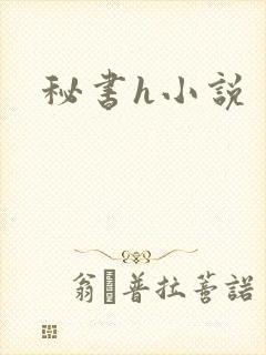 秘书h小说