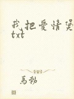 我把爱情煲成汤txt