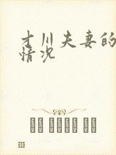 才川夫妻的恋爱情况