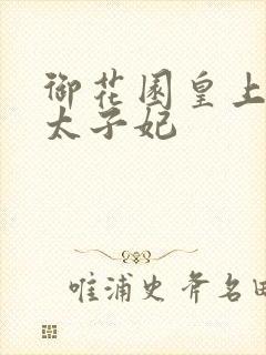 御花园皇上撞着太子妃