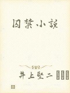 囚禁小说