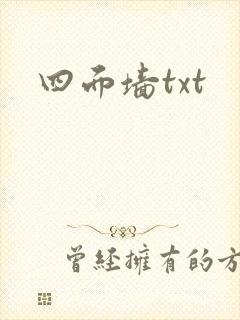 四面墙txt
