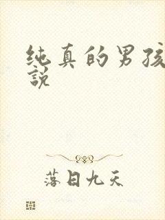 纯真的男孩子小说