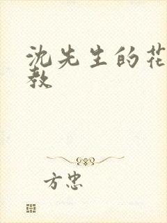 沈先生的花式管教