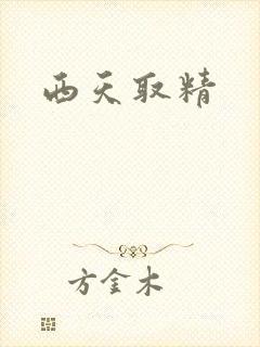 西天取精