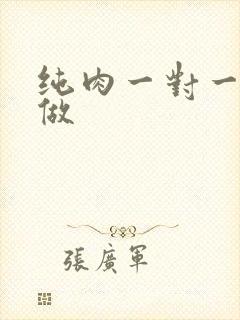 纯肉一对一到处做