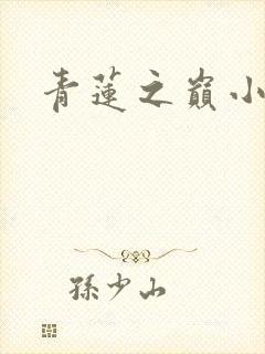 青莲之巅小说