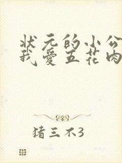 状元的小公主(我爱五花肉)