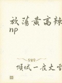 放荡黄高辣h文np