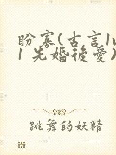 盼寡(古言1v1 先婚后爱)