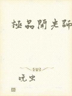 极品开光师